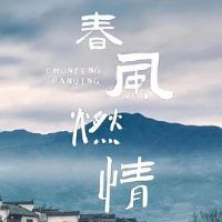 ����ȼ��