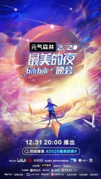 2020ҹbilibili