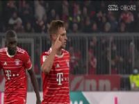 ¼ ֶ˹vsֺ () 20230527