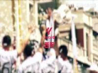 ������� ��������VS�������� 20250211