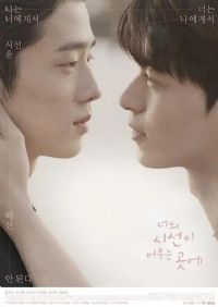 ���Ŀ������֮��