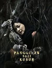 ����ĺ���